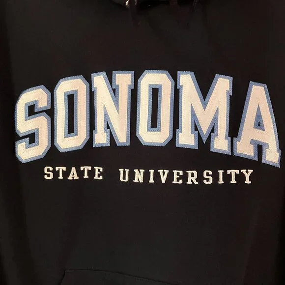 Champion Mens Vintage Y2K Sonoma State Embroidered Hoodie Size Small Blue SP EXC - Picture 3 of 10